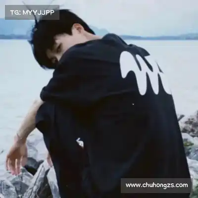 陆冶书